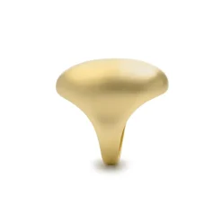 Anillo acabado en oro amarillo de 18k - Hissfu