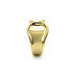 Anillo acabado en oro amarillo de 18k - Kajaw