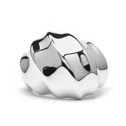 Anillo acabado en rodio - Dinu