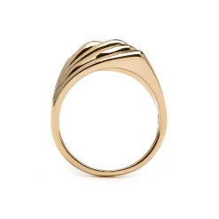 Anillo acabado oro amarillo de 18k - Rorrie