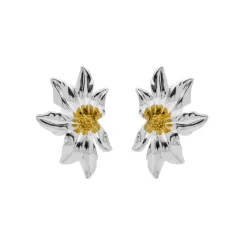 Pendientes acabado en oro amarillo 18k - Nescha