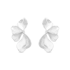 Pendientes Acabado En Plata - Leyel