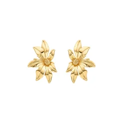 Pendientes acabados en oro amarillo 18K - Aucell