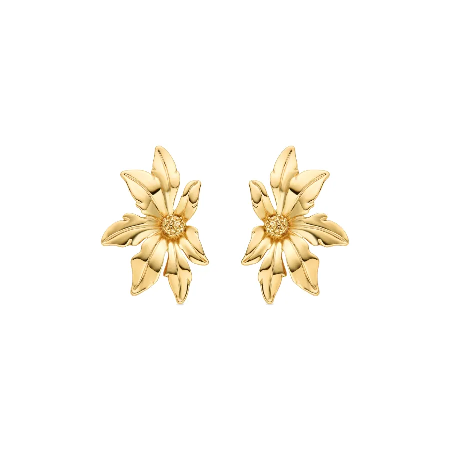 Pendientes acabados en oro amarillo 18K - Aucell