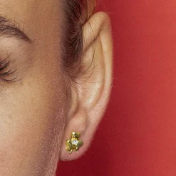Pendientes con Circonita Brillante acabado oro 18k - Furne