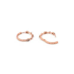 Pendientes de Circonita Brillante acabado en oro rosa de 18k - Shauo