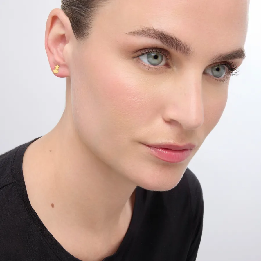 Pendientes de Plata de Ley 925 acabados en oro amarillo 18K - Essential