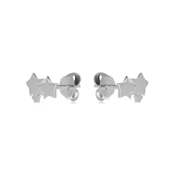 Pendientes de Plata de Ley 925 acabados en rodio - Essential