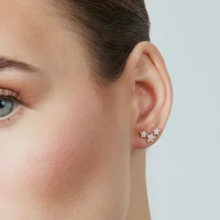 Pendientes de Plata de Ley 925 con Circonita Brillante acabados en oro rosa 18K - Familia