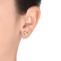 Pendientes de Plata de Ley 925 con Circonita Brillante acabados en oro amarillo 18K - Familia