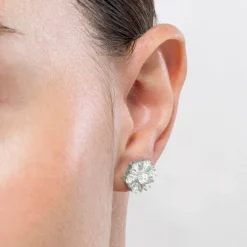 Pendientes de Plata de Ley 925 y Circonita Brillante acabados en rodio - Lorush