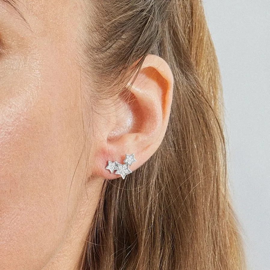 Pendientes de Plata de Ley 925 con Circonita Brillante acabados en rodio - Familia