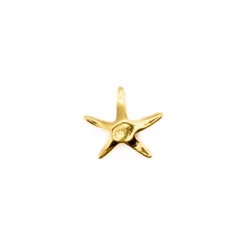 Piercing de Plata de Ley 925 AcabadoOro 18K - Tancol